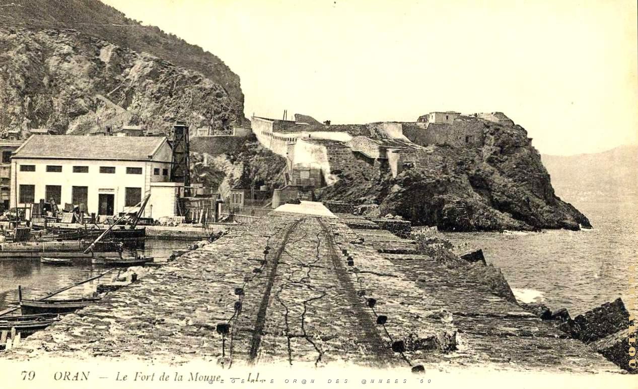 PO e- 017.jpg